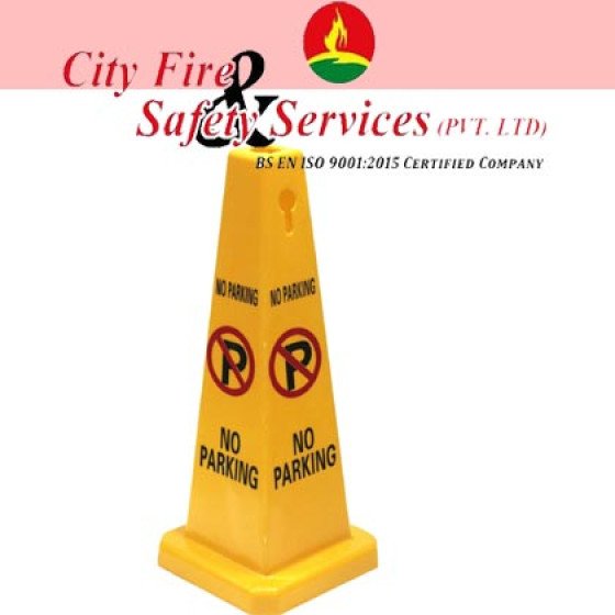 No Parking Warning Cones