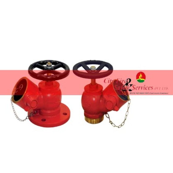 Fire Hydrant Landing Valve